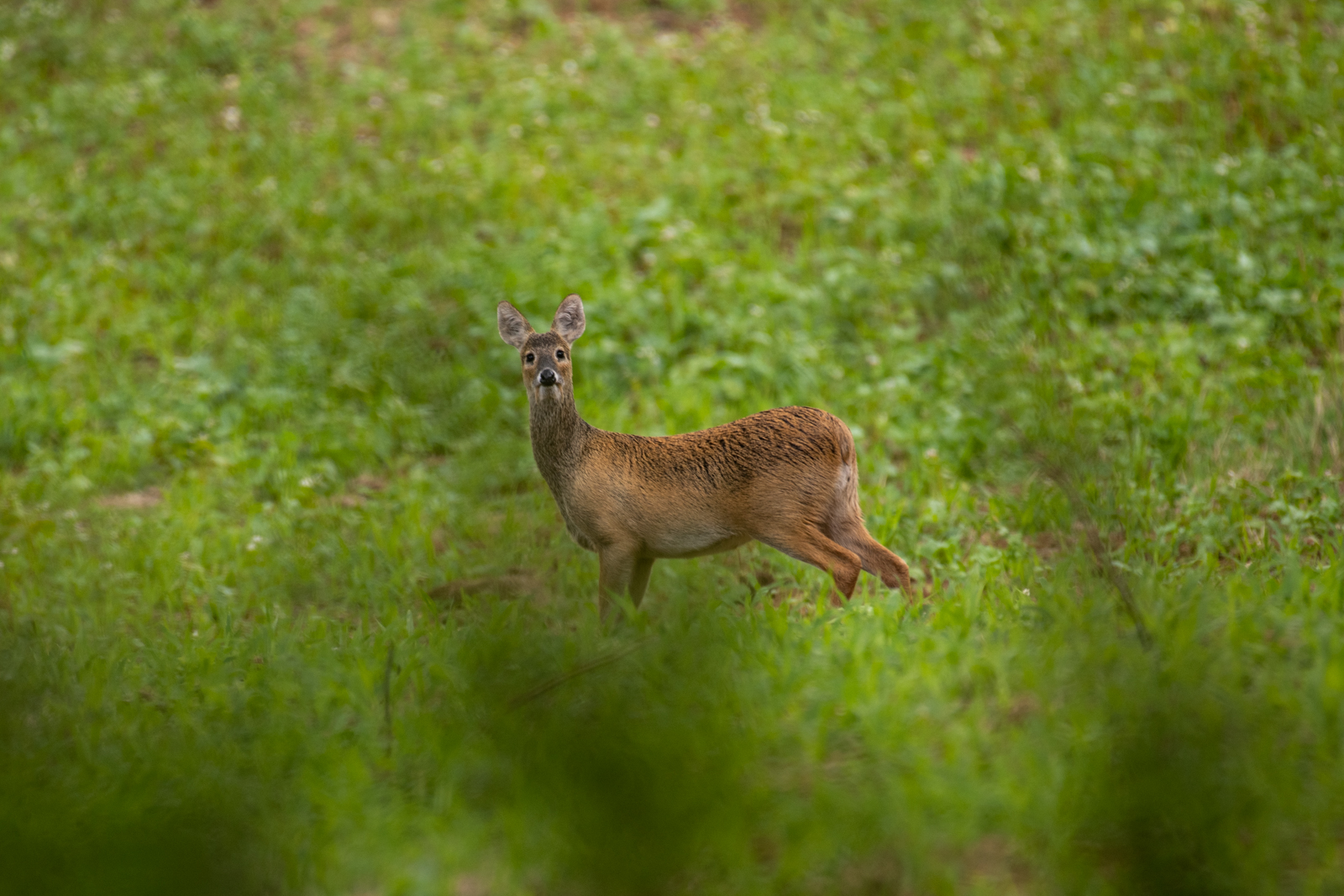 Oliver Watts Photography